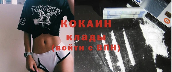 кокс Бородино