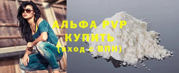 дживик Богородск