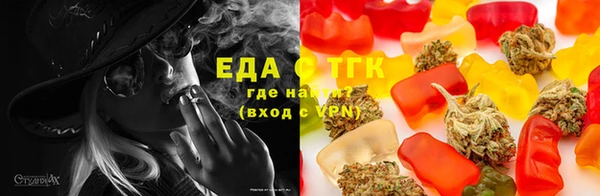 индика Бронницы