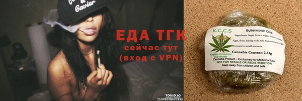 индика Бронницы