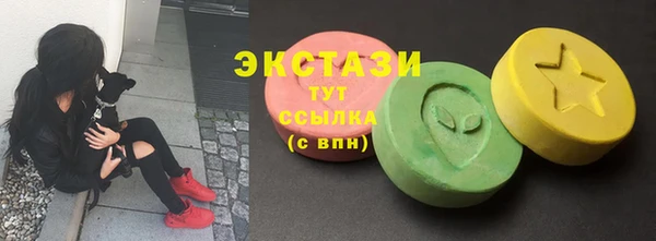 индика Бронницы