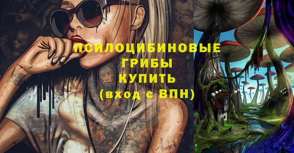дживик Богородск
