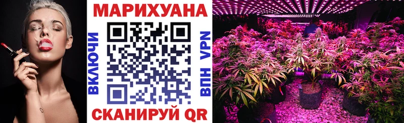 Купить закладки  Емва  Канабис индика 